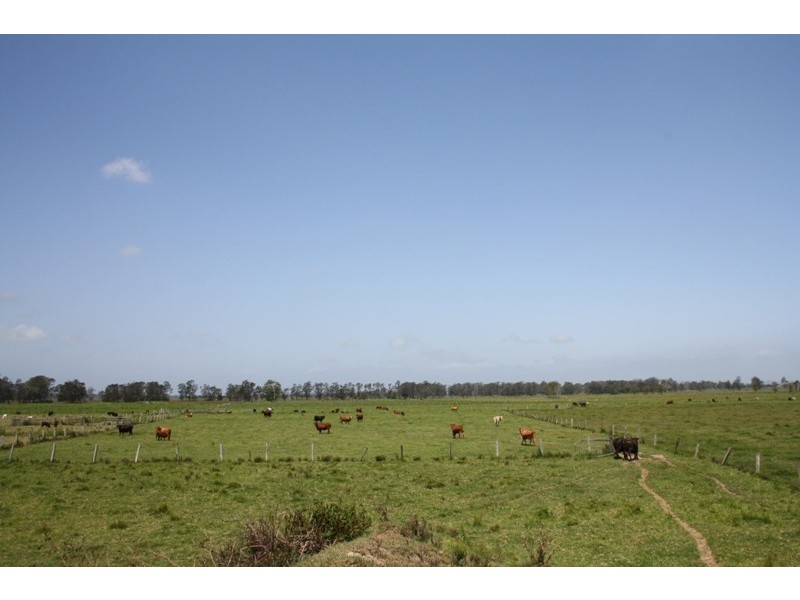Bellimbopinni NSW 2440