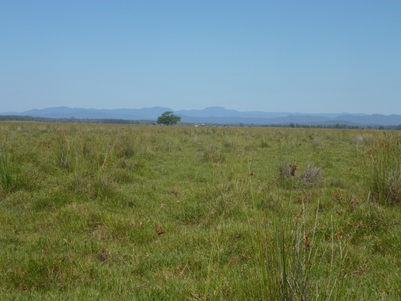 Bellimbopinni NSW 2440