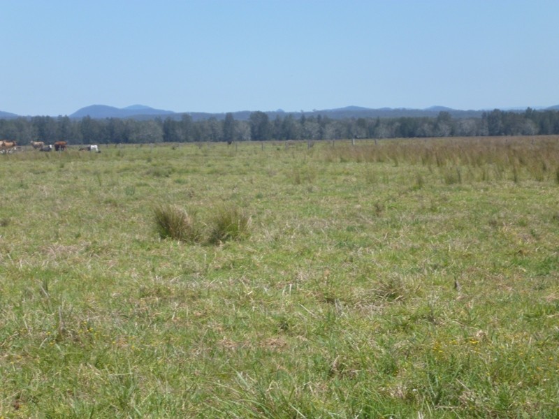 Bellimbopinni NSW 2440