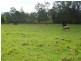 Turners Flat NSW 2440