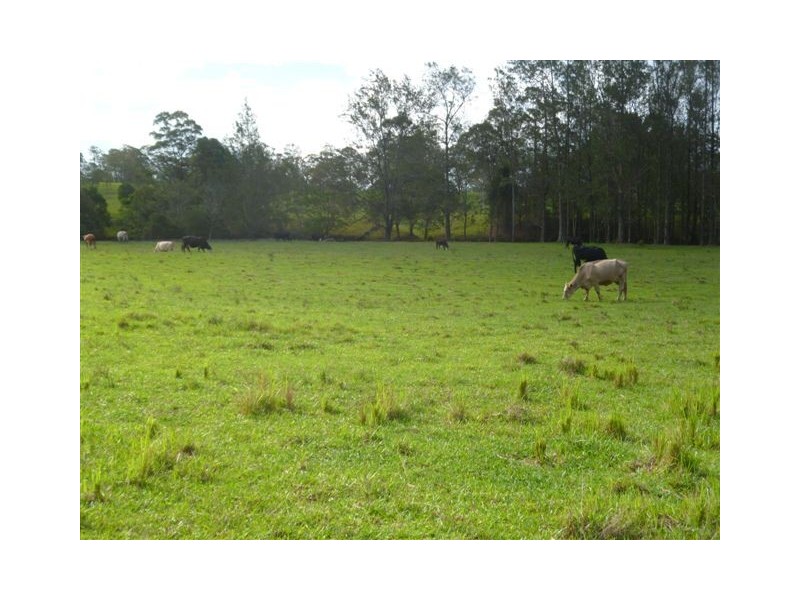 Turners Flat NSW 2440
