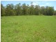 Verges Creek NSW 2440