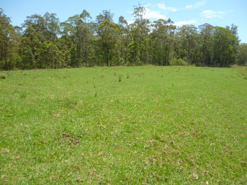 Verges Creek NSW 2440