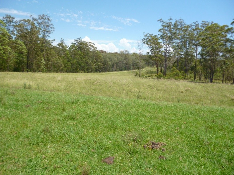 Verges Creek NSW 2440