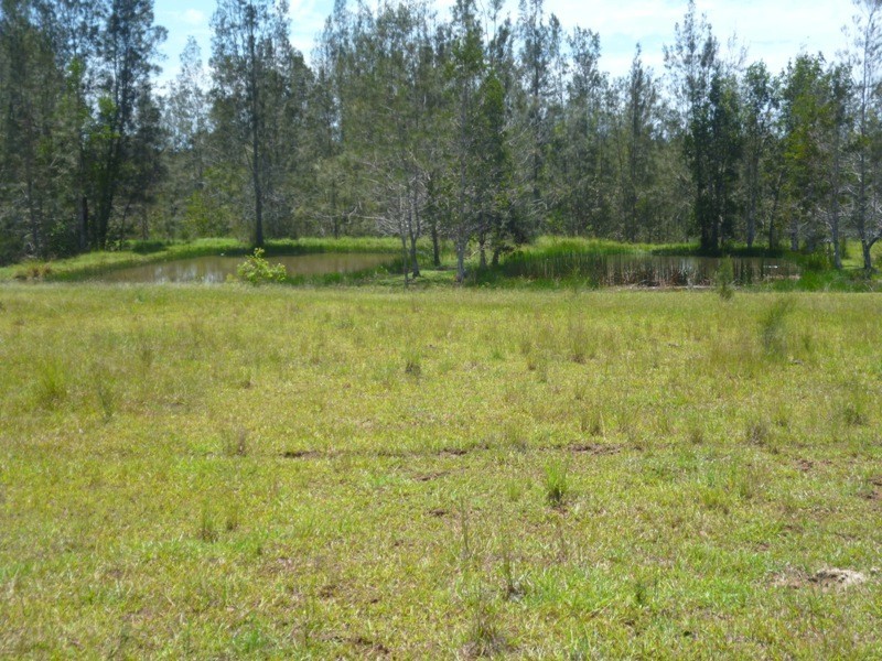 Verges Creek NSW 2440