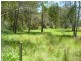Verges Creek NSW 2440