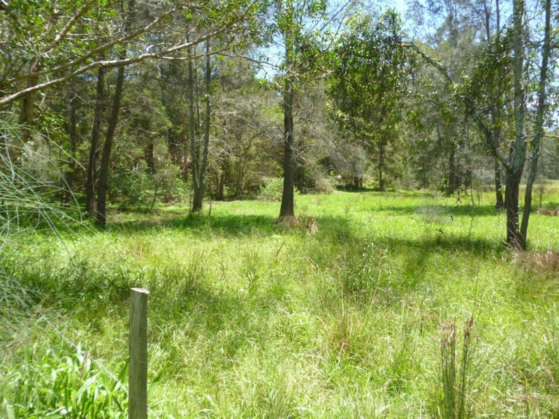 Verges Creek NSW 2440