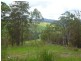 Hickeys Creek NSW 2440