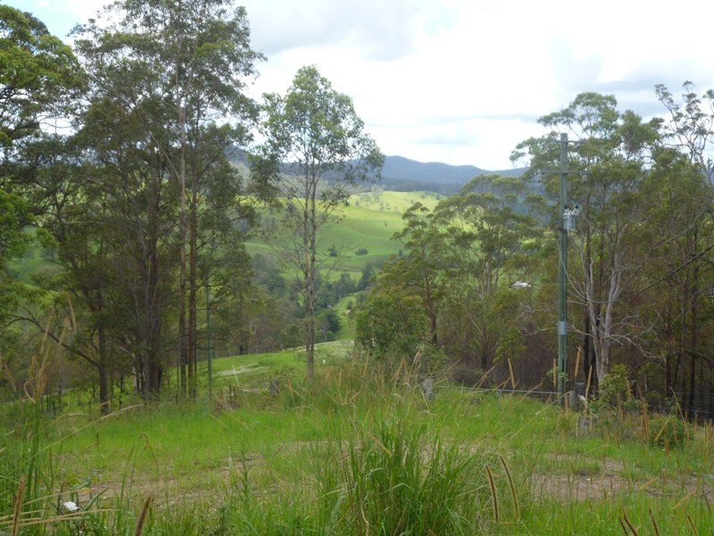 Hickeys Creek NSW 2440