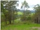 Hickeys Creek NSW 2440
