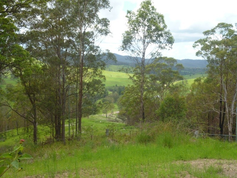 Hickeys Creek NSW 2440