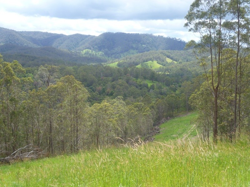 Hickeys Creek NSW 2440