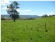 Yarrowitch NSW 2354