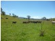 Yarrowitch NSW 2354