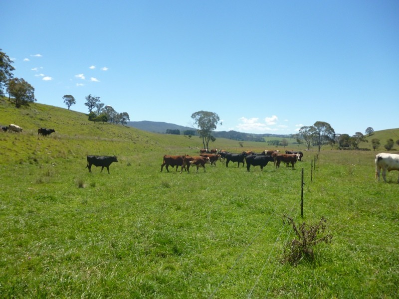 Yarrowitch NSW 2354
