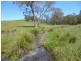Yarrowitch NSW 2354