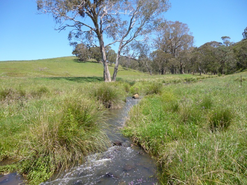 Yarrowitch NSW 2354
