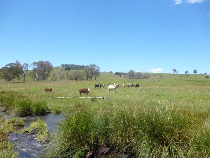 Yarrowitch NSW 2354