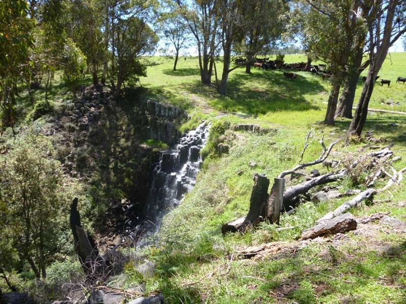 Yarrowitch NSW 2354
