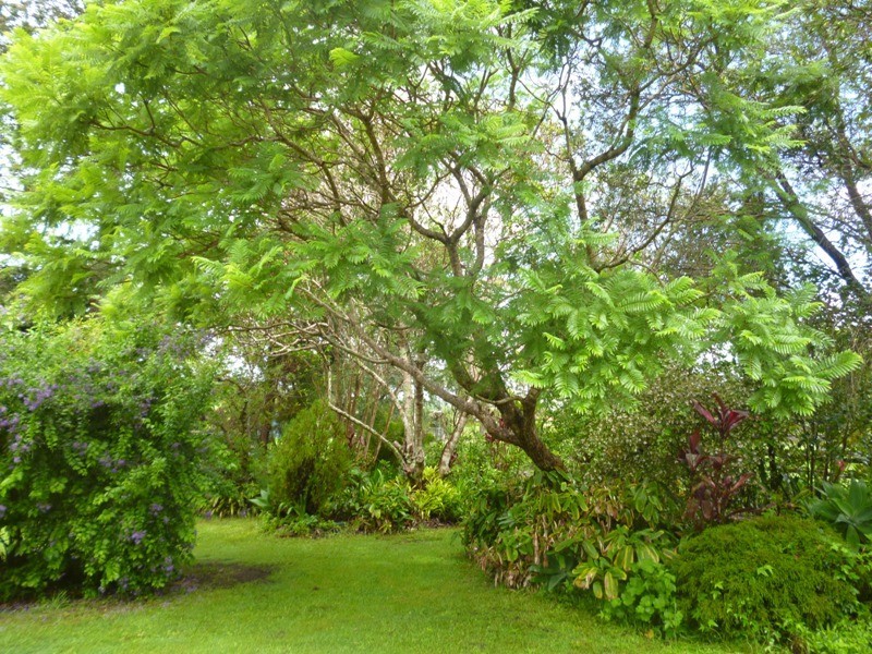 8 Ronella Drive, Aldavilla NSW 2440