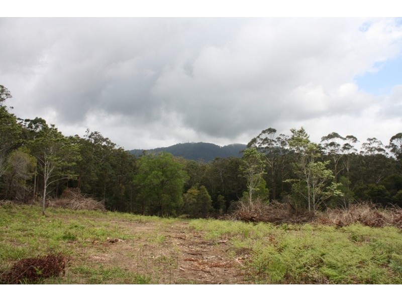 Yarrahapinni NSW 2441
