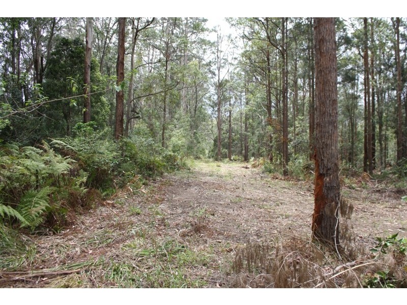 Yarrahapinni NSW 2441