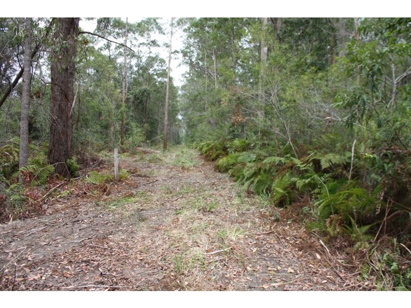 Yarrahapinni NSW 2441