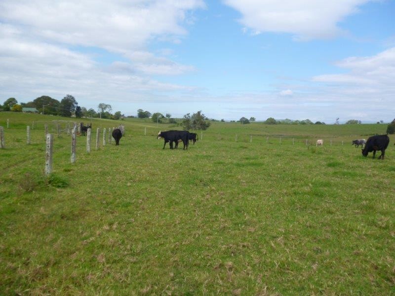 24 Warne Drive, Aldavilla NSW 2440