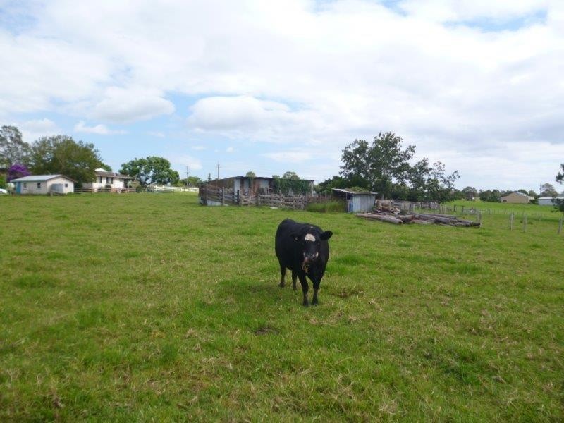 24 Warne Drive, Aldavilla NSW 2440