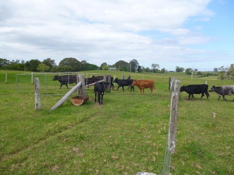 24 Warne Drive, Aldavilla NSW 2440