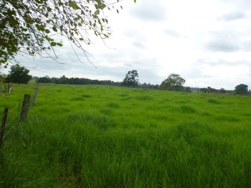 24 Warne Drive, Aldavilla NSW 2440