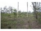 Collombatti NSW 2440