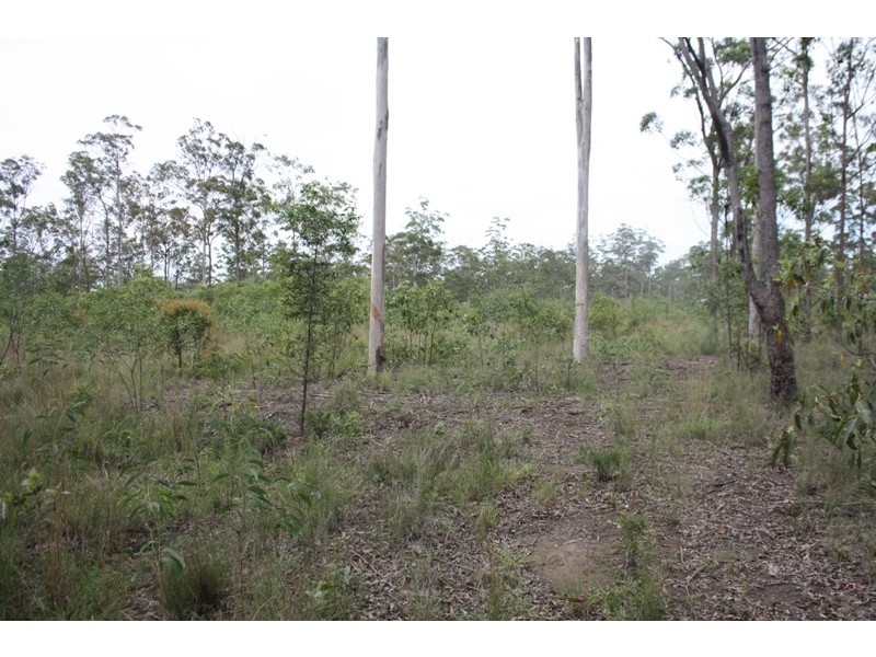 Collombatti NSW 2440