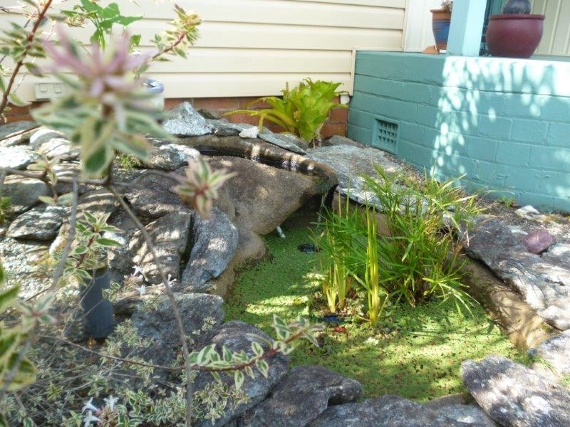 385 River Street, Greenhill NSW 2440