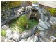 385 River Street, Greenhill NSW 2440