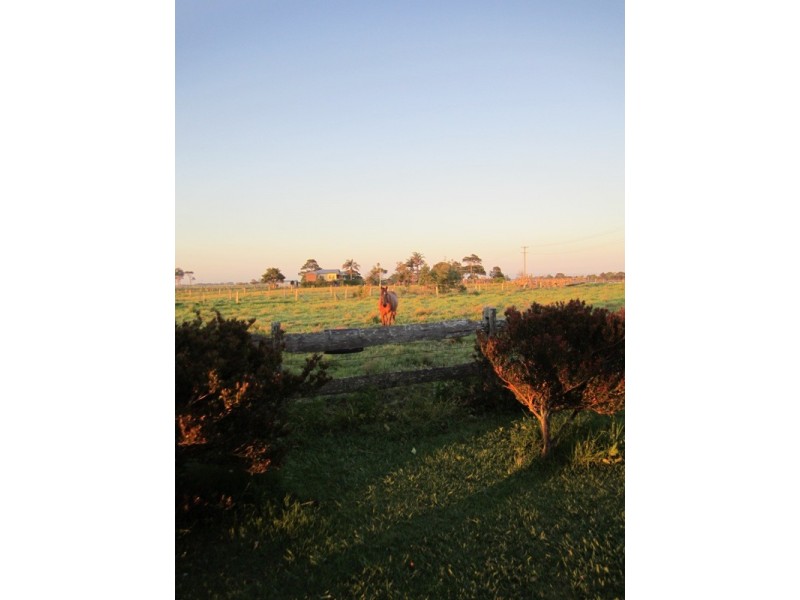 Jerseyville NSW 2431