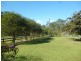 14 The Ponds Way, Aldavilla NSW 2440