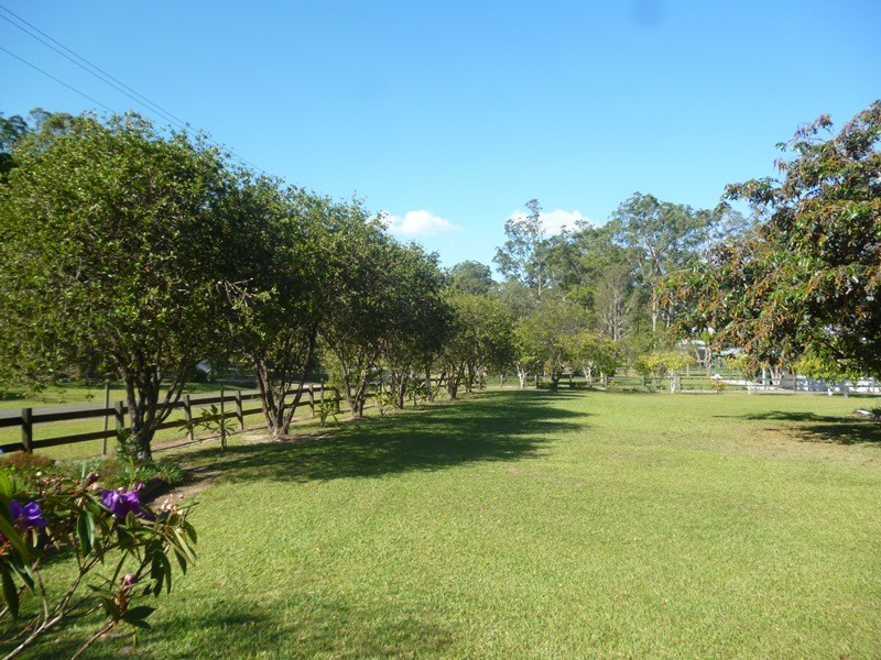 14 The Ponds Way, Aldavilla NSW 2440