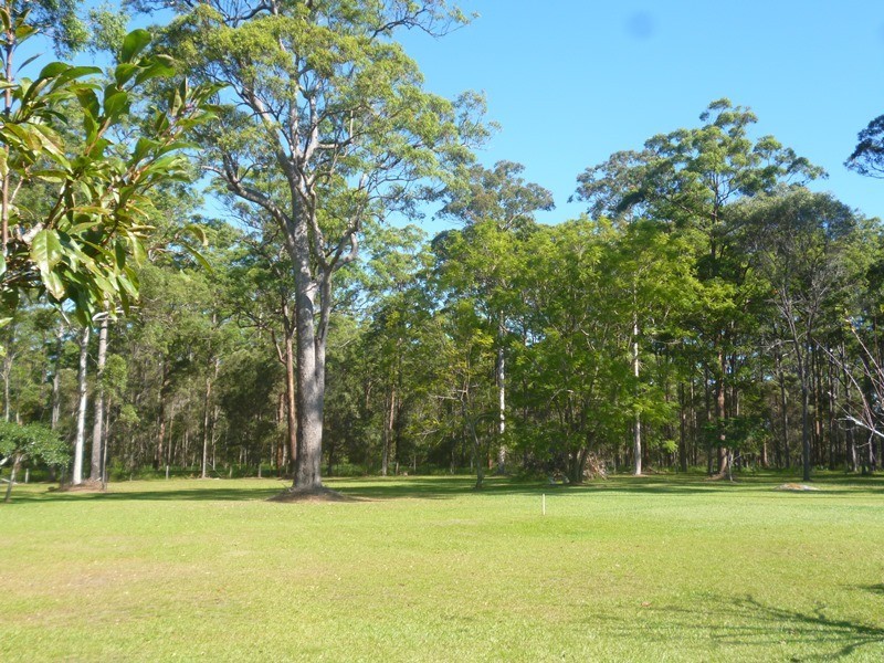 14 The Ponds Way, Aldavilla NSW 2440