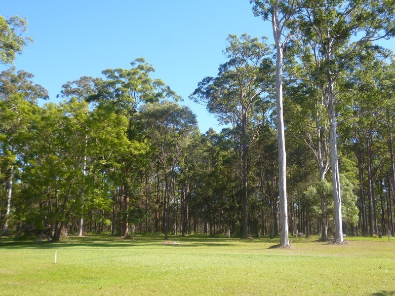 14 The Ponds Way, Aldavilla NSW 2440