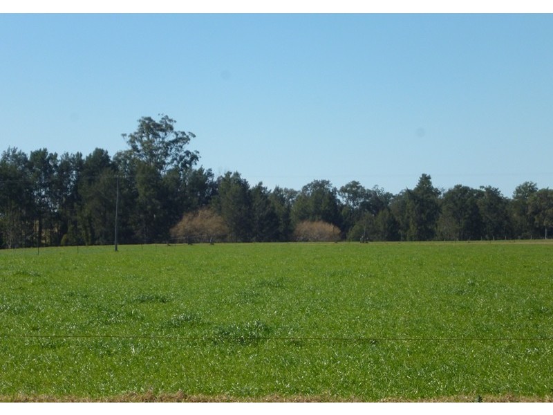 Dondingalong NSW 2440