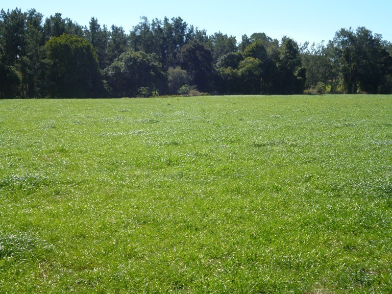 Dondingalong NSW 2440