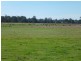 Dondingalong NSW 2440