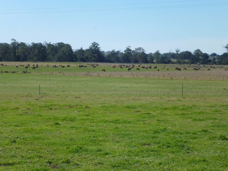 Dondingalong NSW 2440