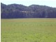 Dondingalong NSW 2440