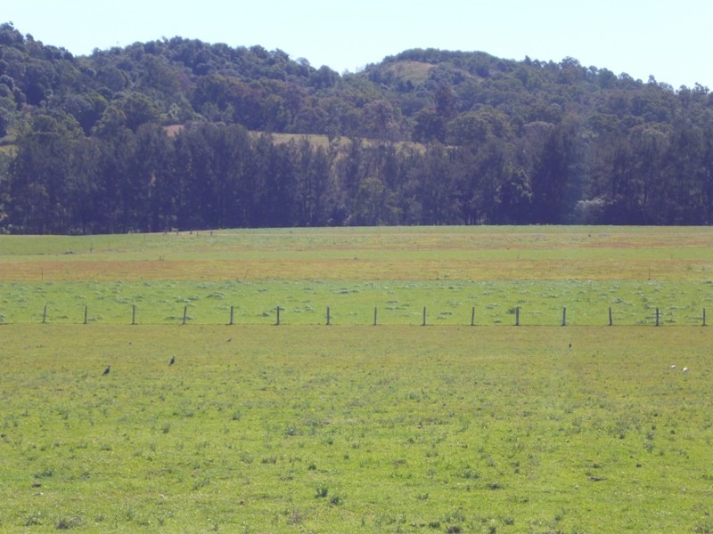 Dondingalong NSW 2440
