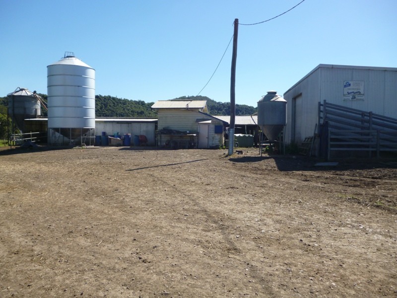 Dondingalong NSW 2440