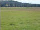 Dondingalong NSW 2440