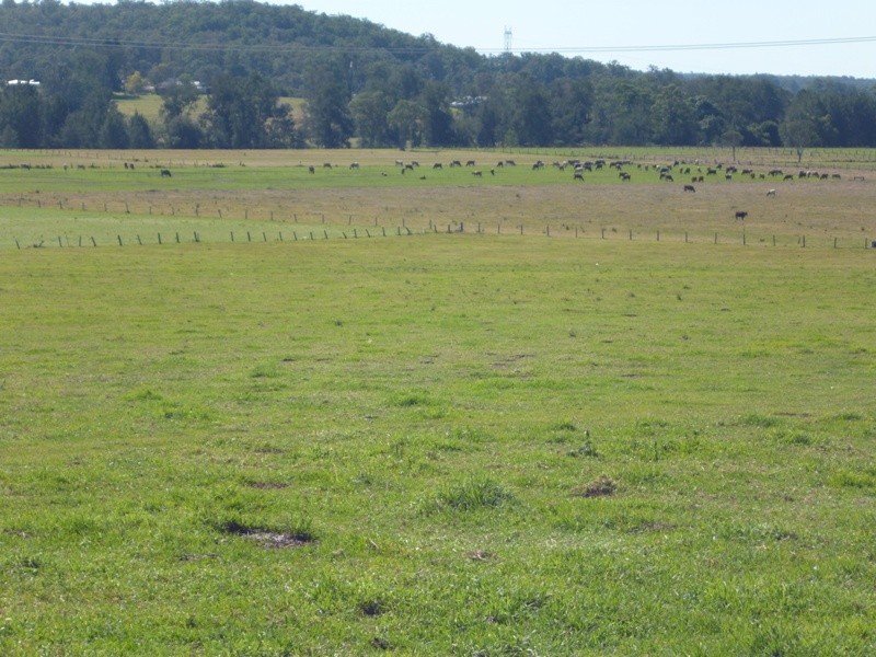 Dondingalong NSW 2440