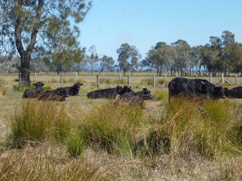 Old Station NSW 2440